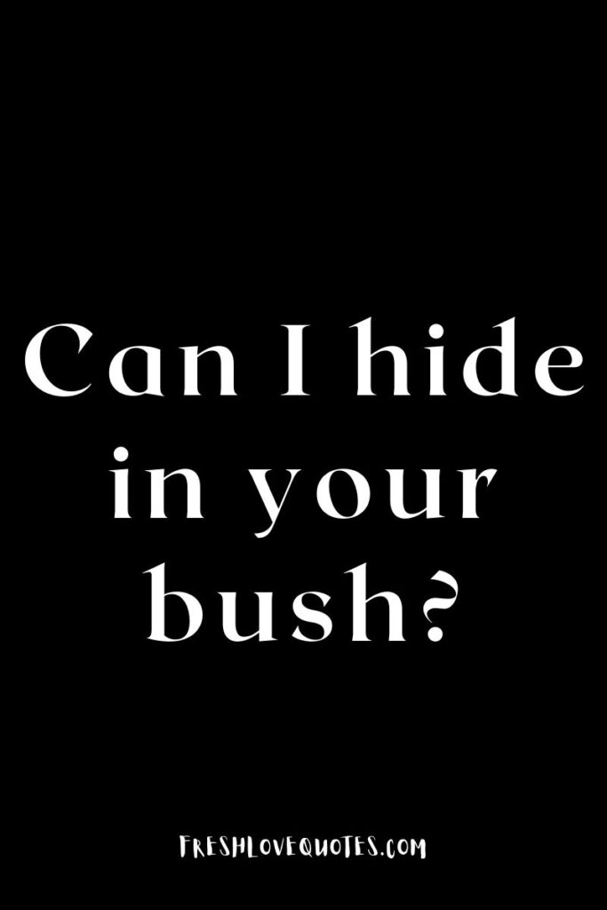 Can I hide in your bush