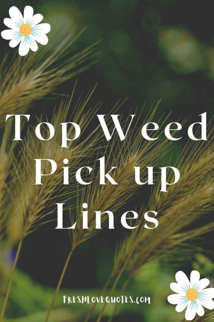 Top Dirty Weed Pick Up Lines for him or her