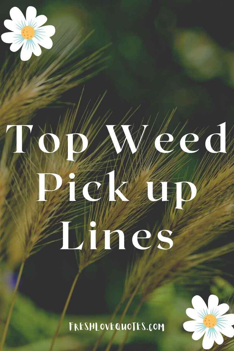 Top Dirty Weed Pick Up Lines For Him Or Her | Fresh Love Quotes