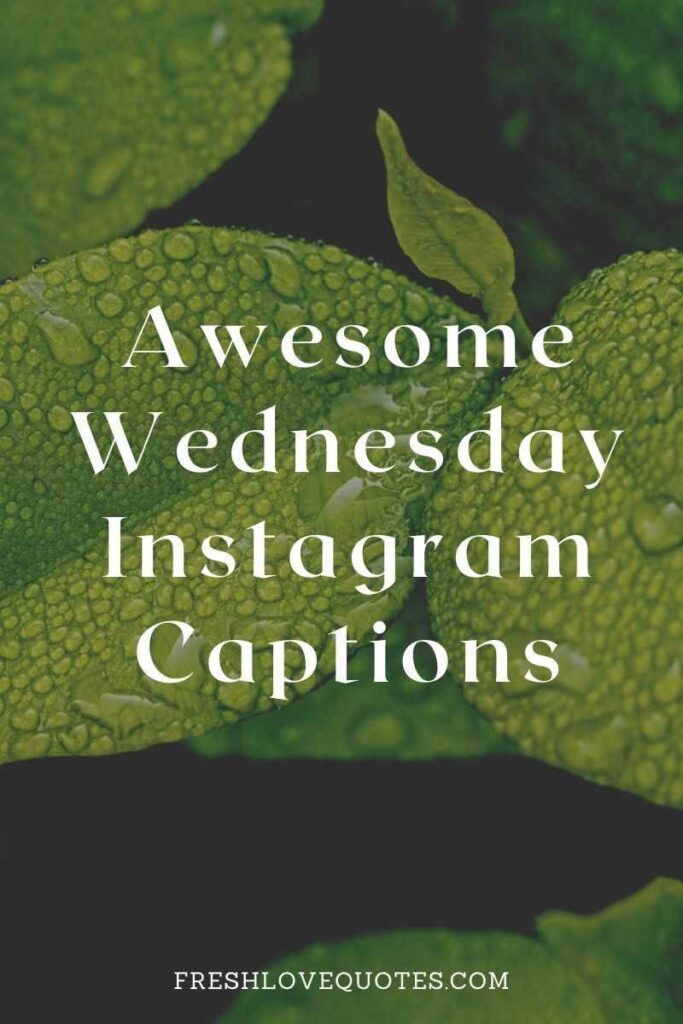 Awesome Wednesday Instagram Captions (1)