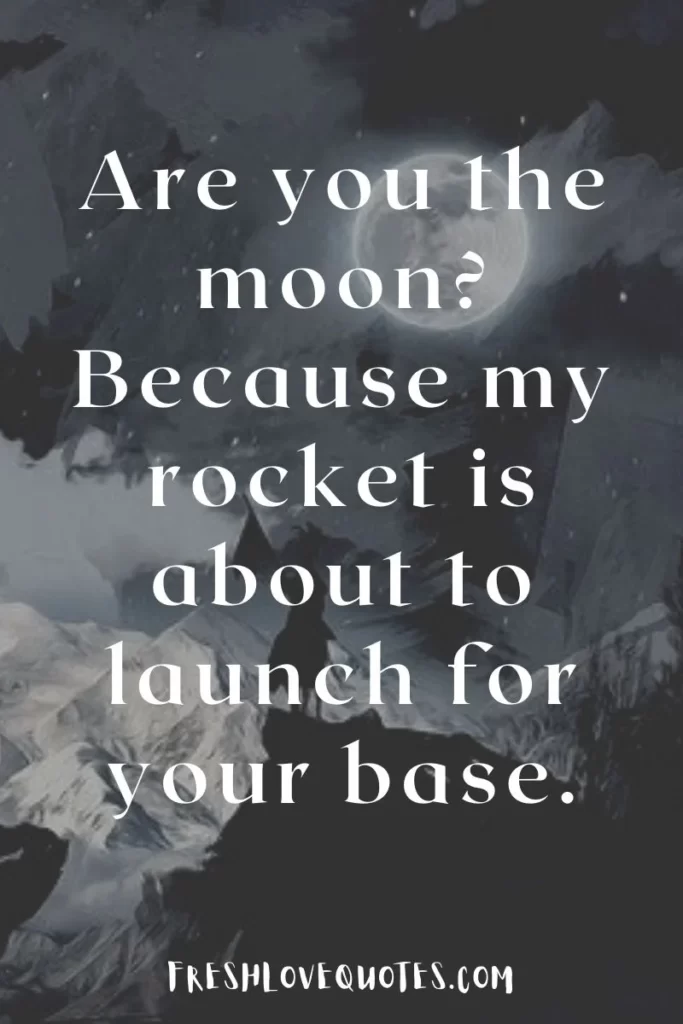 Are you the moon Because my rocket is about to launch for your base.
