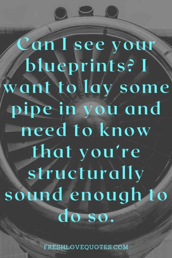 Can I see your blueprints I want to lay some pipe in you and need to know that you’re structurally sound enough to do so.