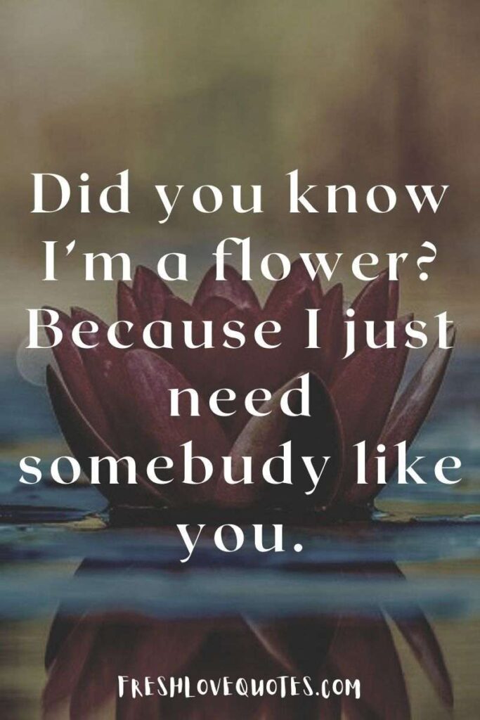 Did you know I’m a flower Because I just need somebudy like you.