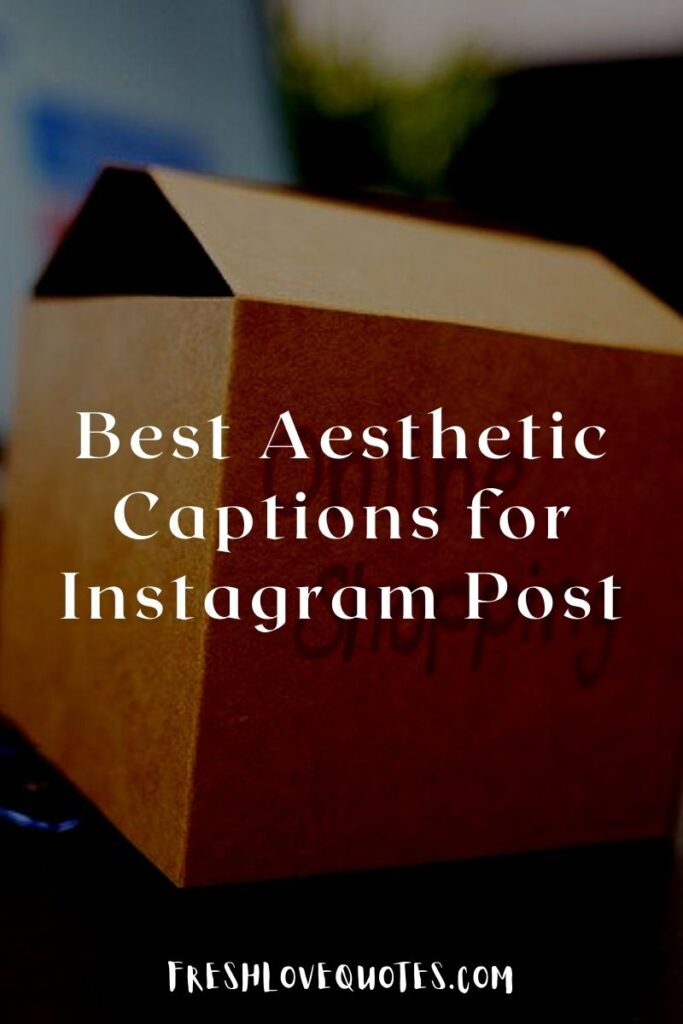 Best Aesthetic Captions for Instagram Post