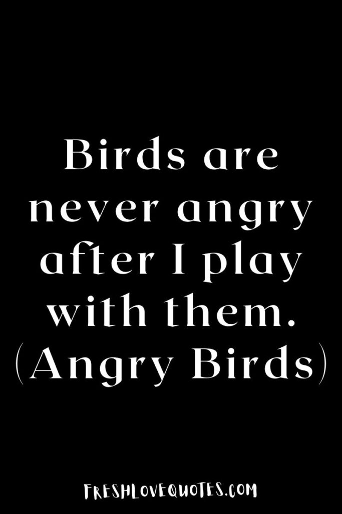 Birds are never angry after I play with them. (Angry Birds)