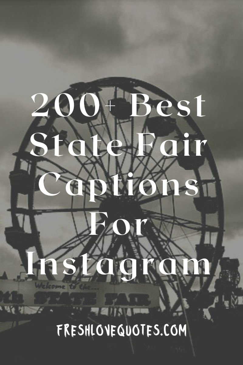 200-best-state-fair-captions-for-instagram-fresh-love-quotes