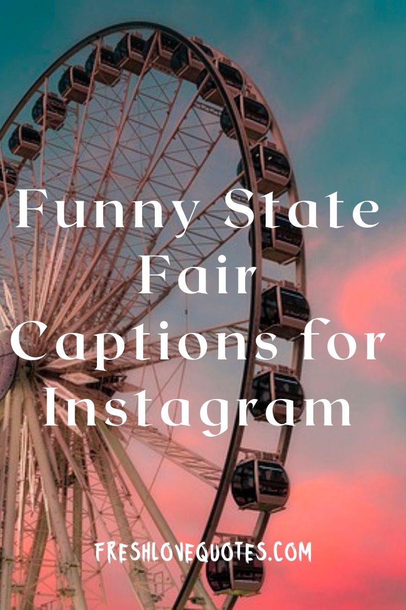 200-best-state-fair-captions-for-instagram-fresh-love-quotes